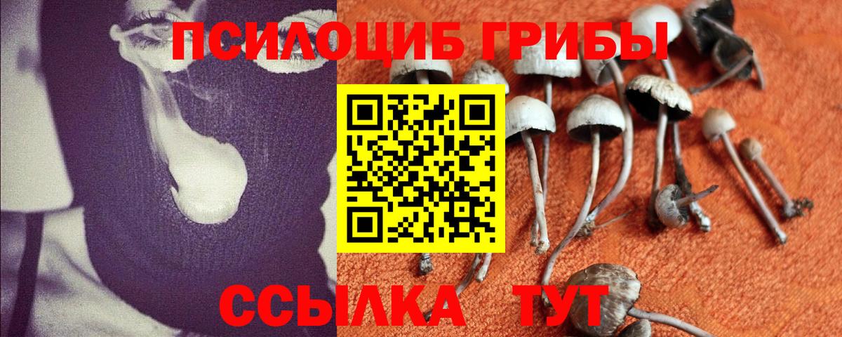 Псилоцибиновые грибы ЛСД  Вход с VPN  Лиски  Галлюциногенные грибы прущие грибы 