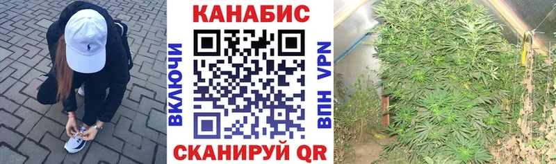 Шишки марихуана гибрид  наркошоп  Лиски 
